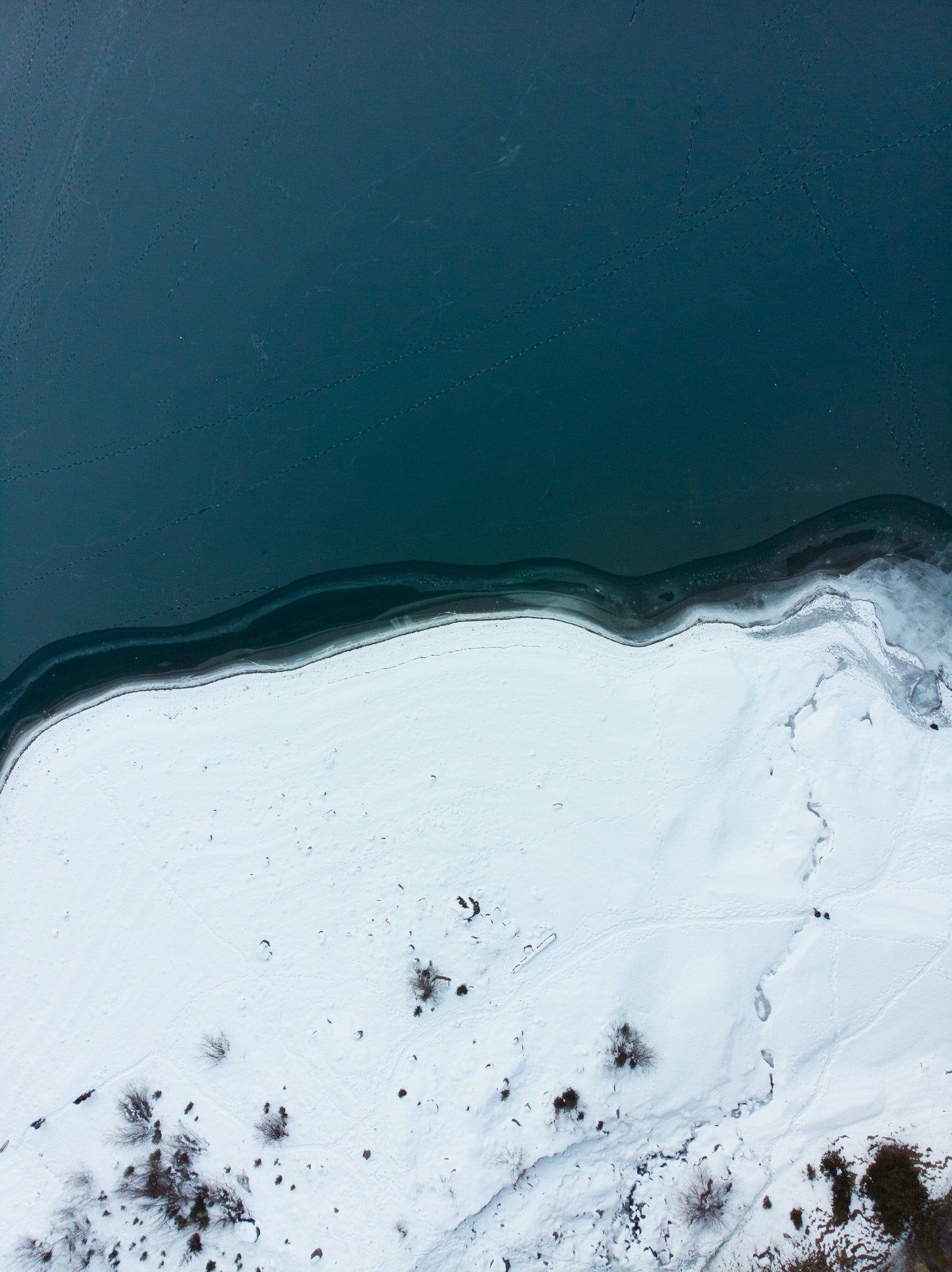 Natural environment texture representing Full EC website package